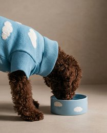 Cloud Pet Bowl 14cm 2 Pieces Set