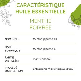 Organisk pebermynte essentiel olie 10 ml