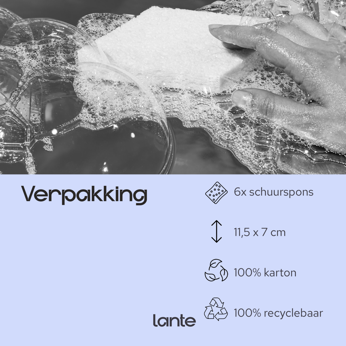 6x Lante natural scouring sponge - eco - coconut sponge