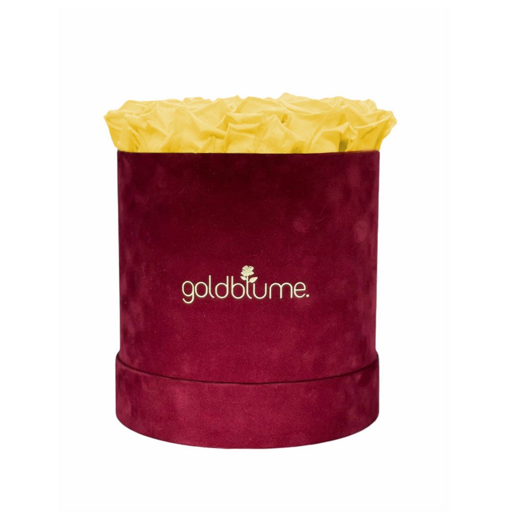 Collection Velours Bordeaux