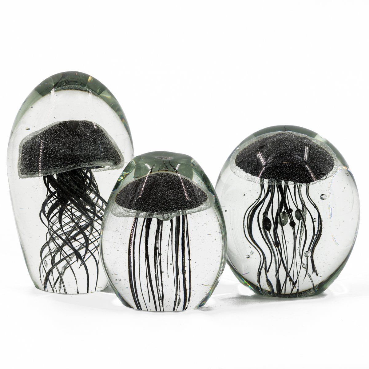 Jellyfish in glass