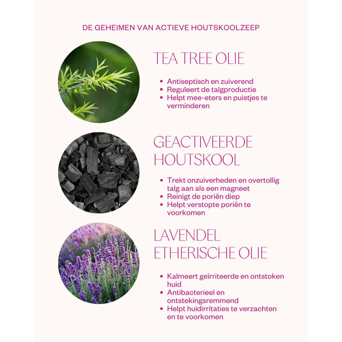 Activated Charcoal & Tea Tree gezichtsreiniger
