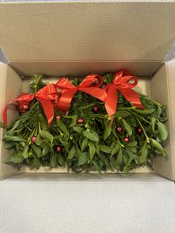 Christmas Box Mistelten – Rød (8 pakker (35x25x8cm) med 3 bundter)