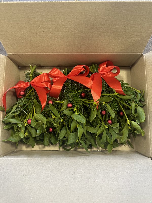 Christmas Box Mistelten – Rød (8 pakker (35x25x8cm) med 3 bundter)