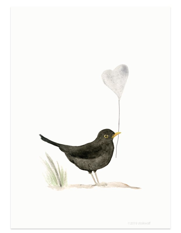 postal | Mirlo y corazón