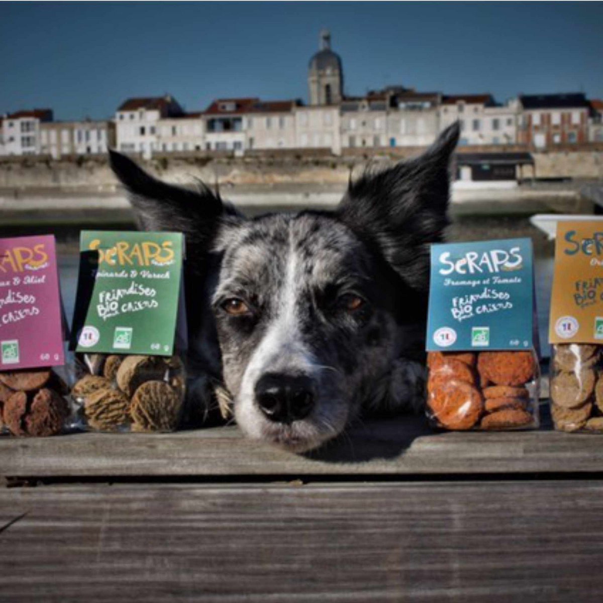 Spinach & Kelp Biscuits 40g or 60g bag