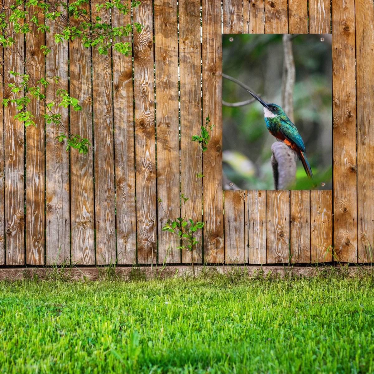 Tuinposter Tropical Bird