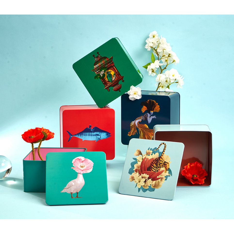 Diva square metal tin box