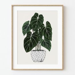 Philodendron Plant Art Print