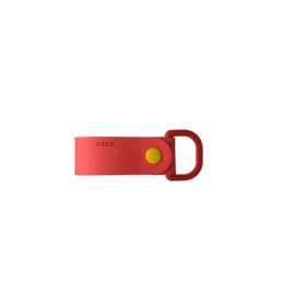 Multicolor Keychain