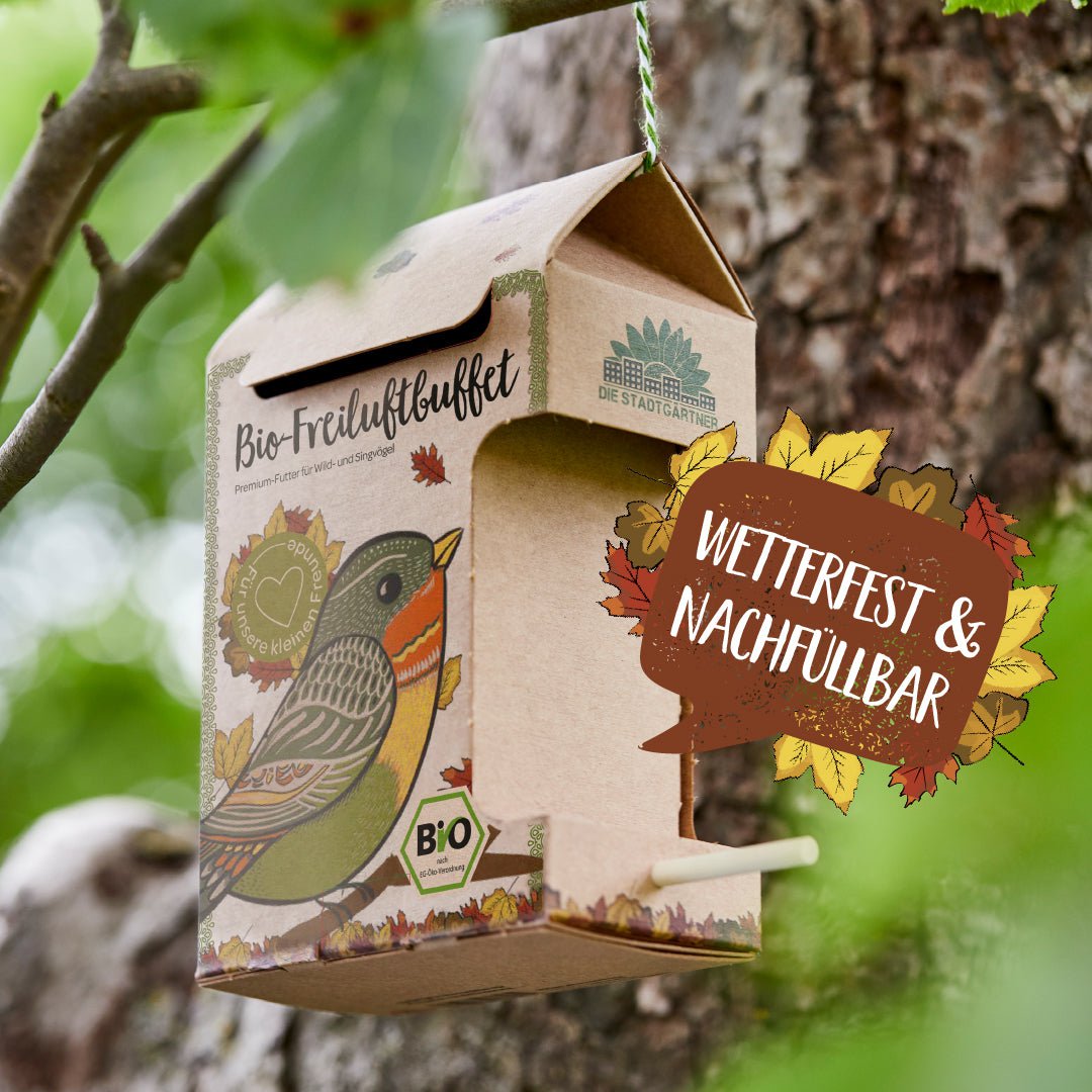 Freiluftbuffet Vögel BIO