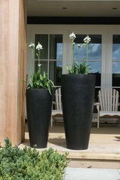 Plantenpot - Kentucky Black