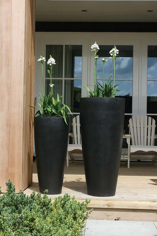 Plantenpot - Kentucky Black