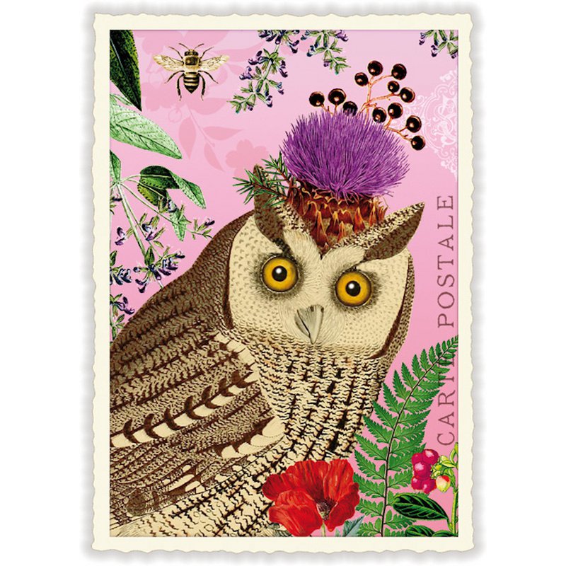 NBPK909 - SWEET MEMORIES: OWL
