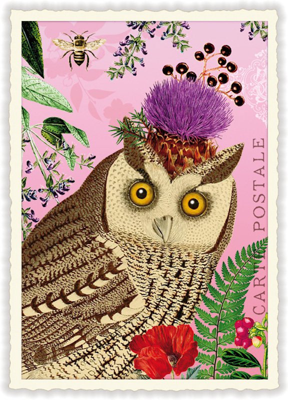 NBPK909 - SWEET MEMORIES: OWL