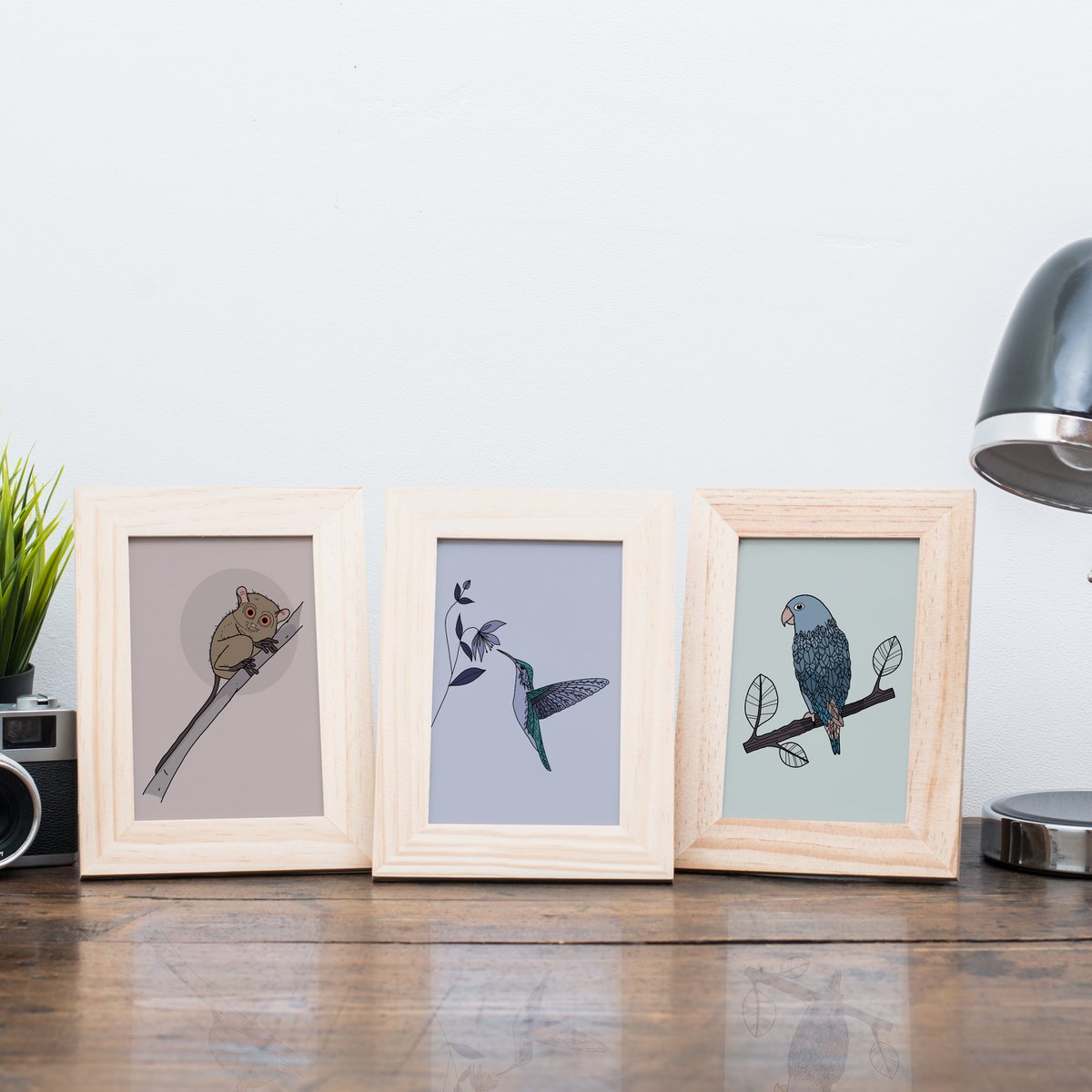 Postkarte Kolibri