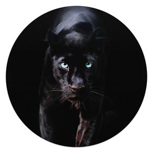 Plexiglasschilderij Acryl Art Zwarte Panter Ø 50