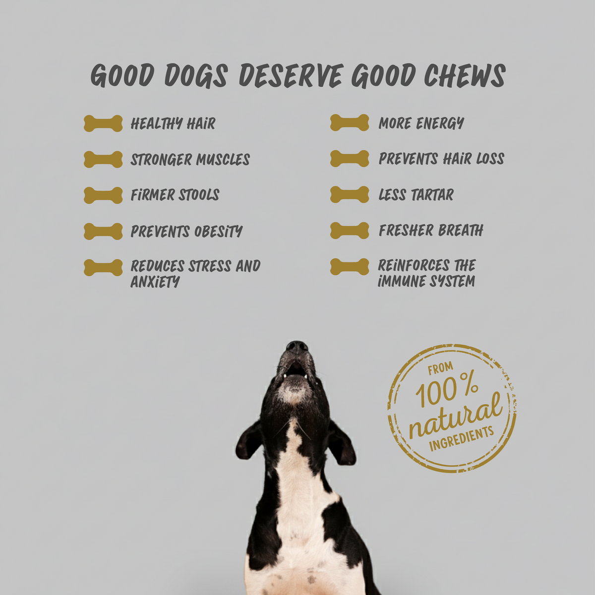 Dog Treats Cheese & Duck chew ( BOX )