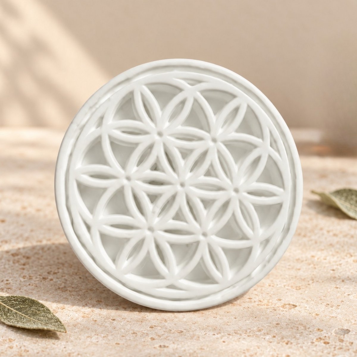 Clip'Arôme Graine de vie – Plaster Car Fragrance Diffuser 
