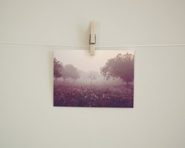 Postkarte Morgenstimmung (PK_054)