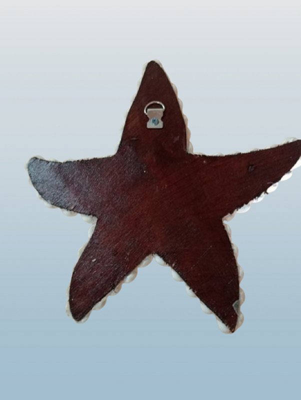 Stella stella marina