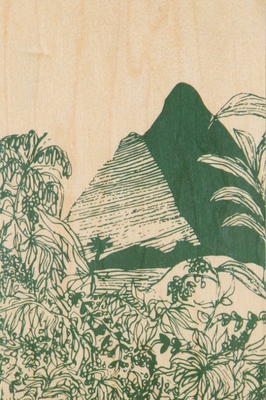 wooden postcard landscapes jungle