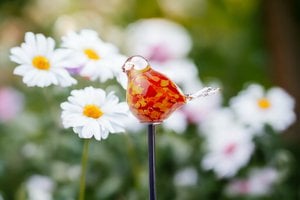 Gartenpflücker Bird Orange | Höhe 80 cm | Glas | Gartendekoration