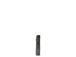 Waterfilter houtskool LAP Binchotan