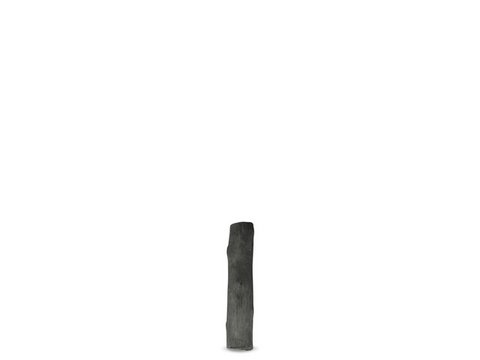 Charcoal water filter LAP Binchotan