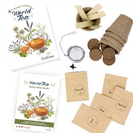 CULTIVEA® Mini Kit Prêt à Pousser Thés du Monde - Graines 100% biologiques - Jardinez et dégustez - Idée cadeau (Thé des jardins, menthe, camomille, agastache, anis verte)
