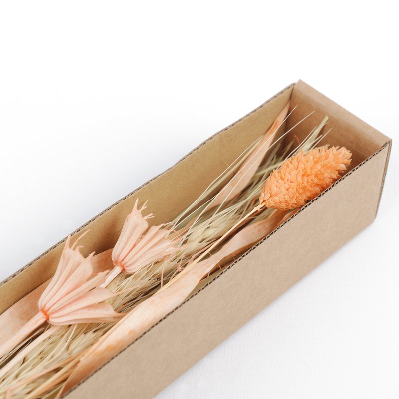DRIED FLOWER PHALARIS HF