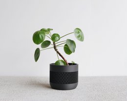 Black M - 8,5 cm diameter