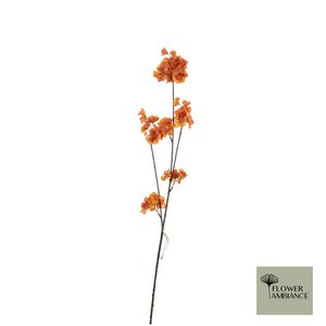 Prunus malaga spray orange 84cm