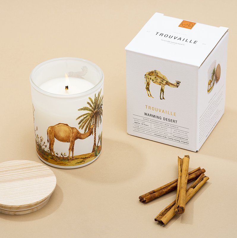 Save the Planet Scented Soy Wax Candle | Warming Desert