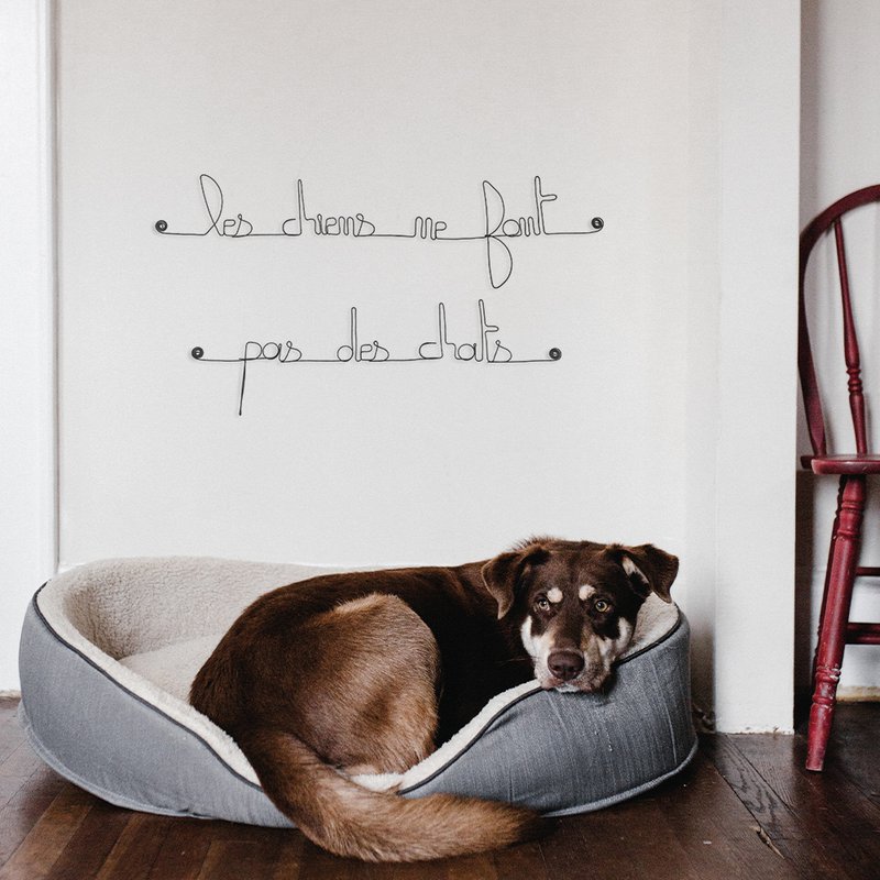 Wire quote "Dogs don't make cats"