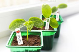 KIT PLASTIQUE RETRACTABLE ETIQUETTE POTAGER