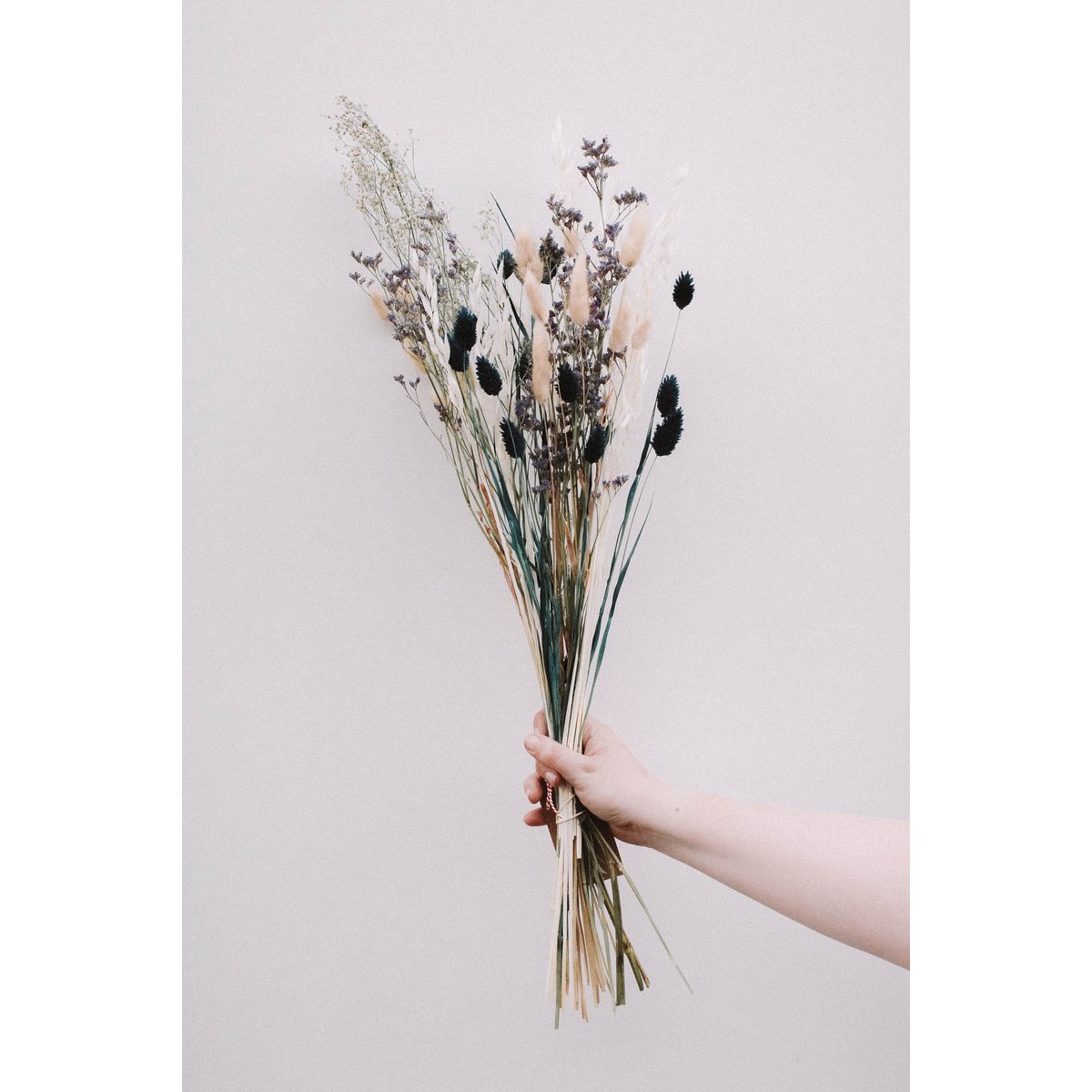 Bouquet sec - Hay Walks