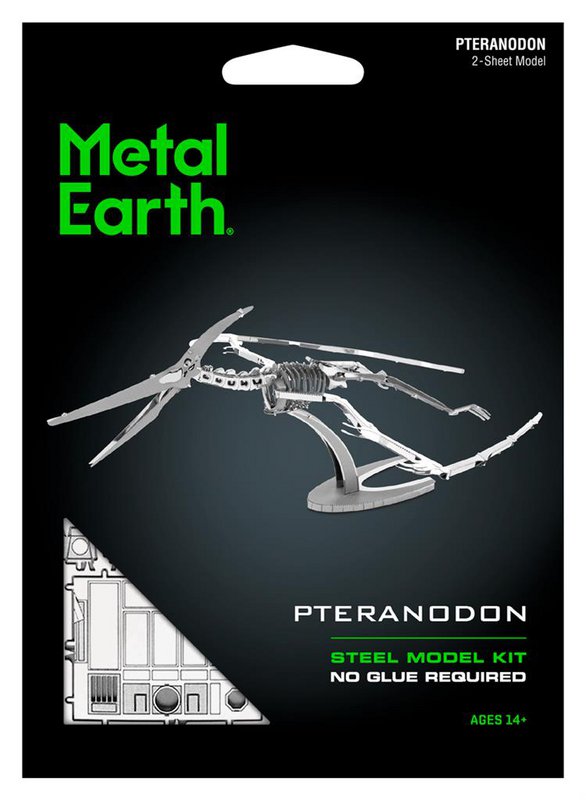 Pteranodon Skelet