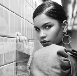 The Iconic Hoops