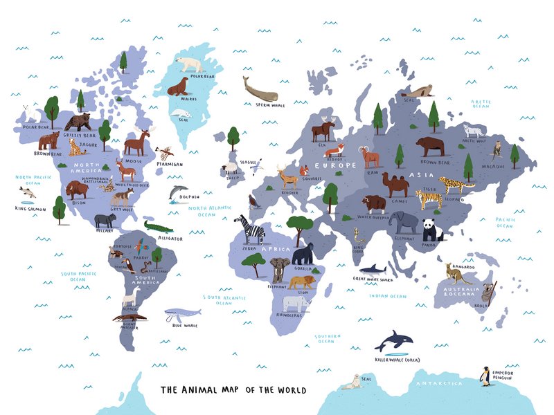 El mapa del mundo animal