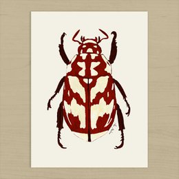 Rød Beetle kunsttryk
