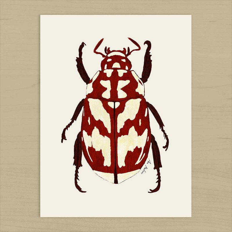 Rød Beetle kunsttryk