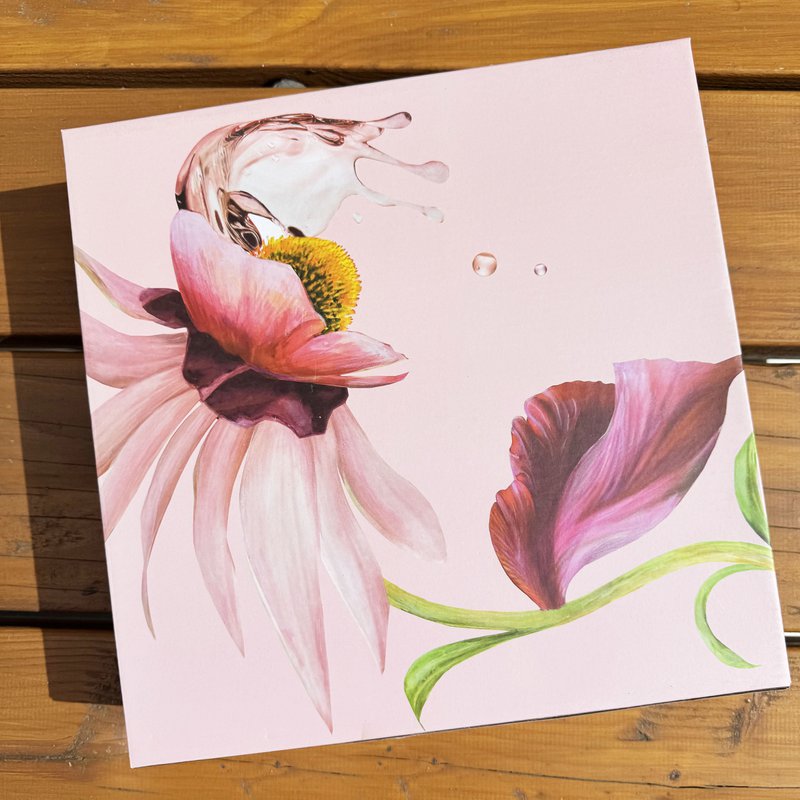 Botanical Wonders - Set of 4 dinner plates