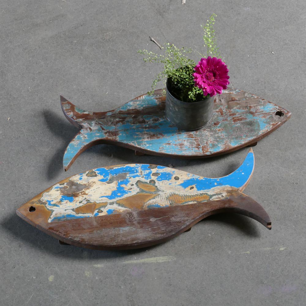 coaster fish