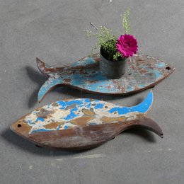 coaster fish
