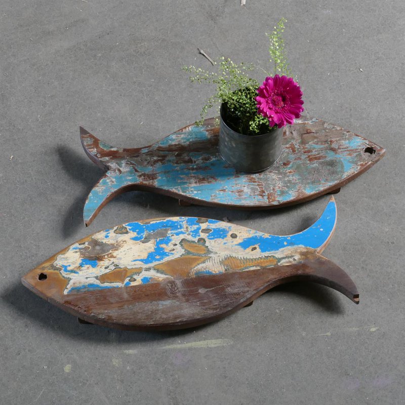 coaster fish