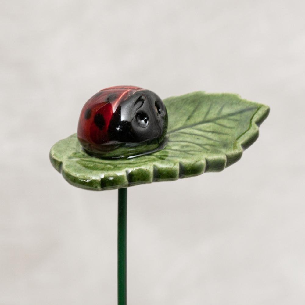 Glücks-Marienkäfer auf Blatt mit/ohne Nachrichtenkärtchen