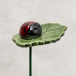 Glücks-Marienkäfer auf Blatt mit/ohne Nachrichtenkärtchen