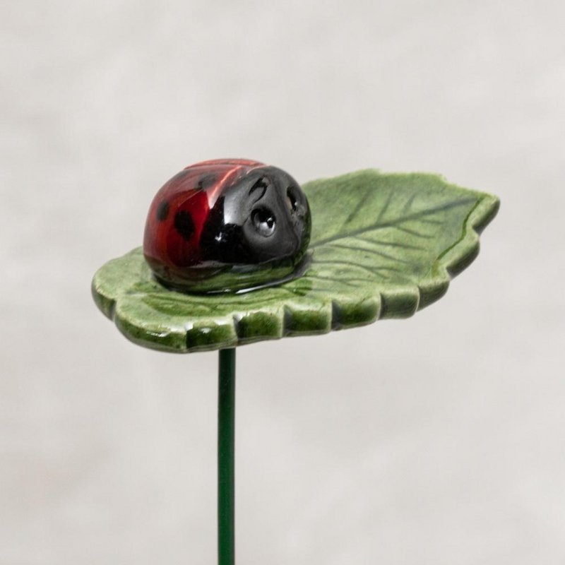 Glücks-Marienkäfer auf Blatt mit/ohne Nachrichtenkärtchen