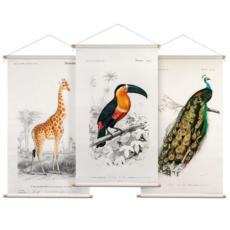 Set de póster textil ilustraciones animales 43x30 cm - Paños de pared